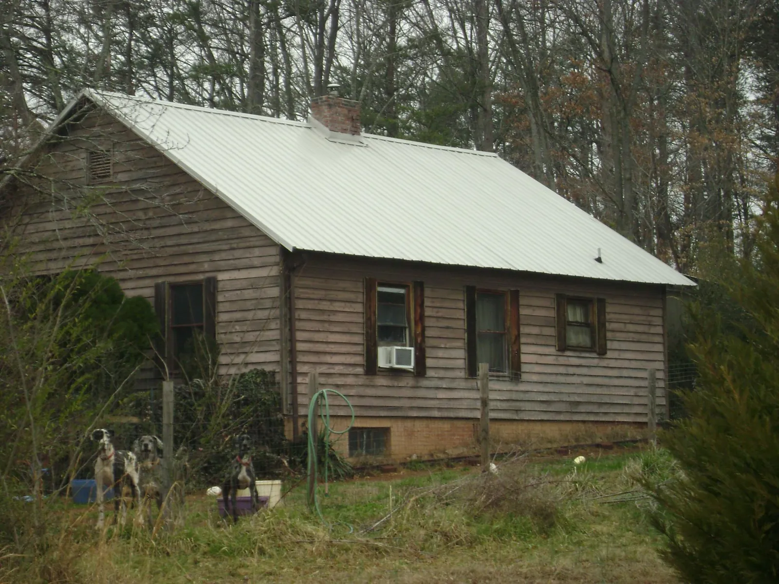 White metal roof on an old wood sided farmhouse, from a Asphalt Shingle Roof Repair job in Conneautville